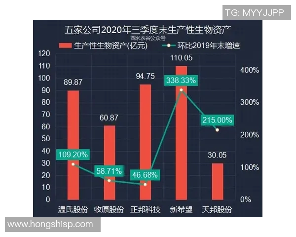 五年对比：猛龙数据全面进化！